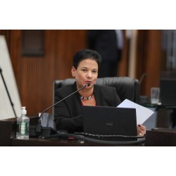 Deputada Marli Paulino solicita ações enérgicas contra crimes na internet